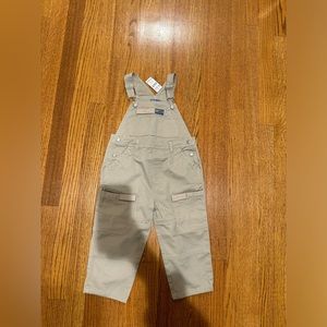 The children’s place overalls